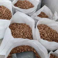 خشکبار مارکده