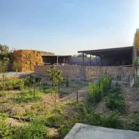 فروش زمین از ۲۰۰ متر تا ۵۰۰۰متر سند دار قلعه نو