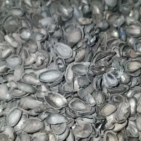 کربن پوست پسته