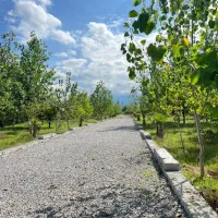 زمین-شهرکی-تفکیکی-با-درختان-میوه-فضای-کاملا-شمالی