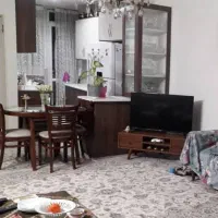 ۵۰متر نقاشی شده تمیز تکخواب