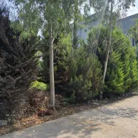 زمین-شهرکی-متراژ-دلخواه-بافت-مسکونی-19ملیون