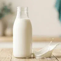 شیر بز و لبنیات