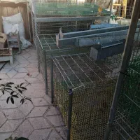 فروش قفس پرنده