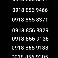 9133 856 0918