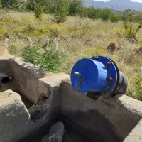 باغ جوان  روستای نور اباد