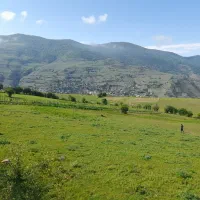 فروش زمین کشاورزی