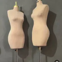 پرده