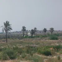 نظافت راه پله آبیاری فضای سبز