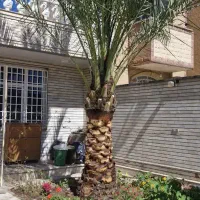 فروش-ویلایی-فاز4-کوی-ملت-300-متر