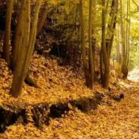 فضایی مناسب برای سرمایه گذاری در بخش گردشگری