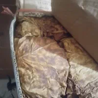 برگ زرد و قرمز