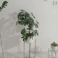 سه عدد گل به همراه پایه