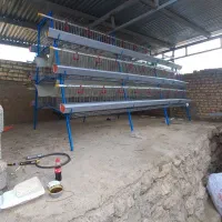 قفس منبری مرغ تخمگذار