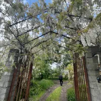 زمین-با-کاربری-باغی-به-متراژ-1500-متر