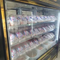 استخدام پروتئنی