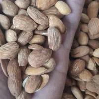 خرید بادام تلخ