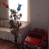 آباژور