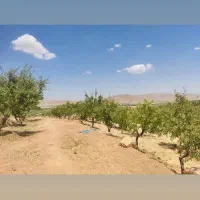 باغ-بادام