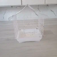 قفس