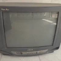 تلویزیون