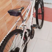 دوچرخه
