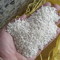 لاشه دم‌سیاه