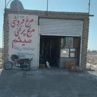 مرغ گوشتی شهرستان|حیوانات مزرعه|زابل, |دیوار