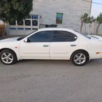 ماکسیما۸۲ بی رنگ