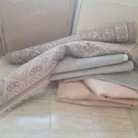 موکت و گلیم