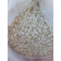 برنج چمپای درجه یک