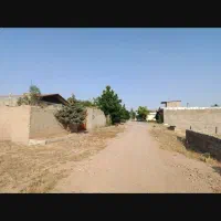 زمین