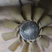 فن و پروانه اسکانیا