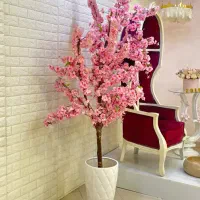 درخت شکوفه گیلاس