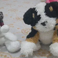 تعدادی اسباب بازی ایرانی خارجی ورق بزنید