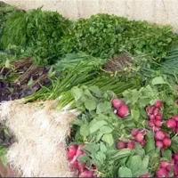 به یک نفر خانم جهت فروشندگی در سبزیجات آماده