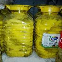 ترشی بیلهر