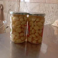 سیر|خوردنی و آشامیدنی|ایلام, |دیوار