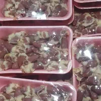 فروش عمده آلایش مرغ  کشتارگاه برای حجم بالا