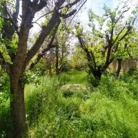 فروش ۱۰۰۰متر جنوبی لادن سه رجایی