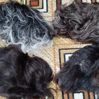 چهار تا پروتز مو