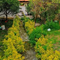 کاسبی۳۲۵مترویلا شهری کلنگی بلوارساحلی۲دقیق دریا