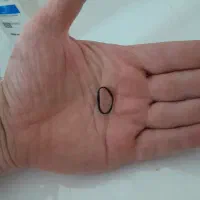 کش چهل کیس
