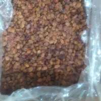 عمده و خرده فروشی کشمش و زرشک