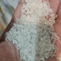 برنج طارم هاشمی کشت اول به شرط تست