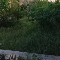 خونه-باغ