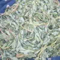 خرفه ی تازه فروشی