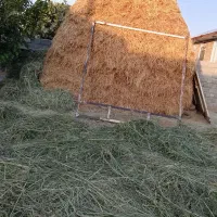 علف خشک