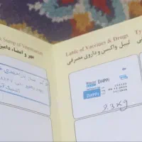 سگ آشپیتز|سگ|مشهد, گلبرگ شمالی|دیوار
