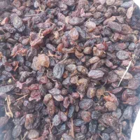جهت آبگیری